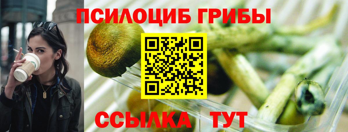 Сарапул  Псилоцибиновые грибы MAGIC MUSHROOMS  Вход с VPN 