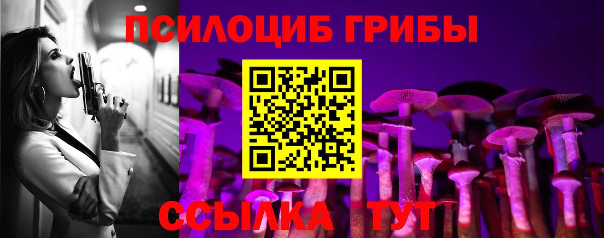 Галлюциногенные грибы Psilocybine cubensis Сарапул