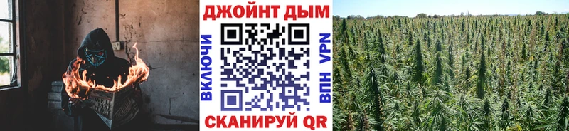 Канабис Bruce Banner  Сарапул 